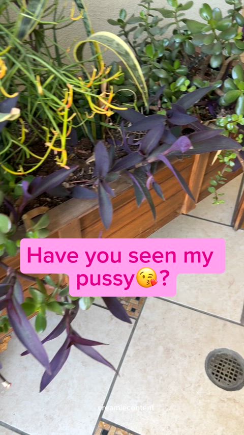 I help find his pussy😻 🥰