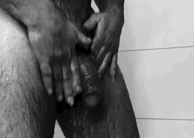 Bear Cock Shower clip