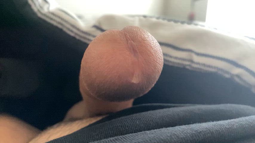 amateur big dick cock solo precum clip