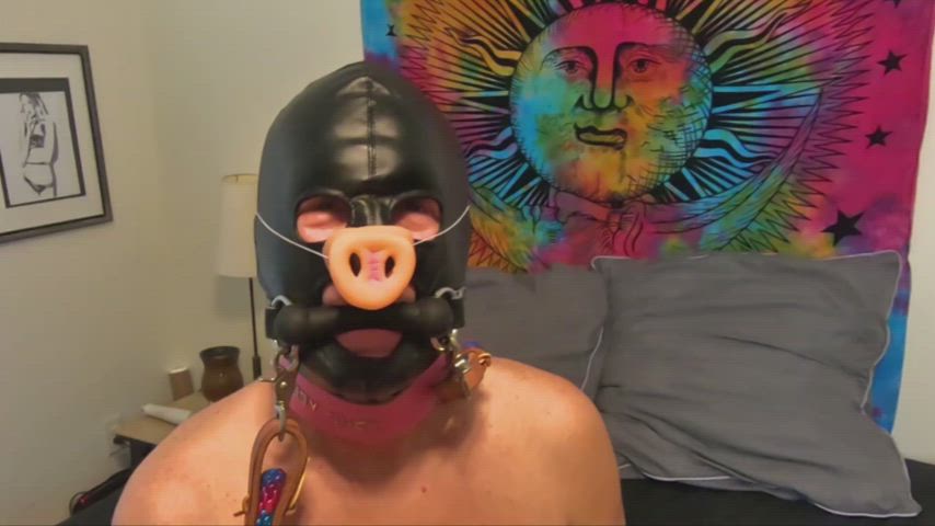 I love hearing my Sissy Pig Squeal and Grunt while I pull on her reins!