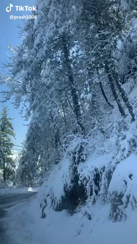  #beauty #of #shimla #snow #roadtrip #bestview ? #tiktokindian #returnoftiktok