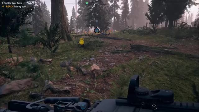 Just Far Cry Things
