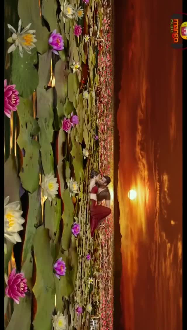 clip