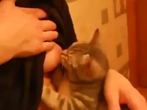 Woman breastfeeding a cat