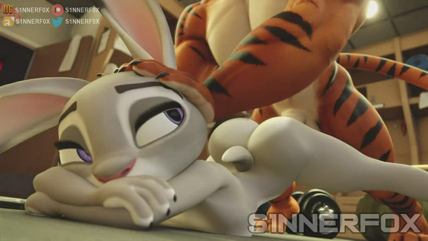 animation bunny cartoon kitty parody sex clip