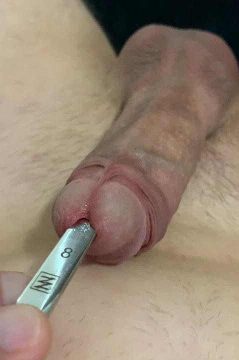 Just used an 8 mm sound, and a hollow buttplug in my ass 😜