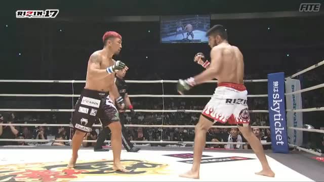 Roberto de Souza vs. Mizuto Hirota - Rizin 17