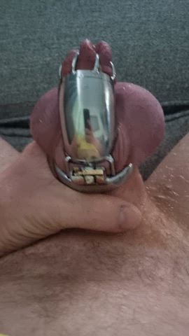 Day forever.... Actually day 13..., reduced to wagging my cock in chastity whilst