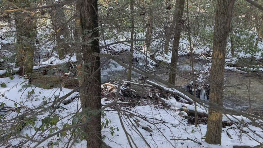 Mountain Creek &amp; Wintery Waterfalls I