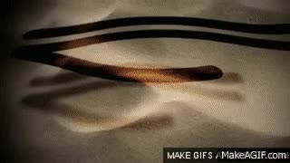  clip