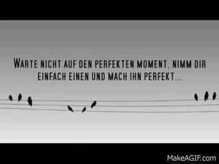  clip