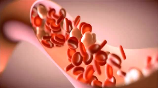 Blood Flow - 4D animation