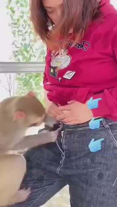 Naughty Monkey 🙈