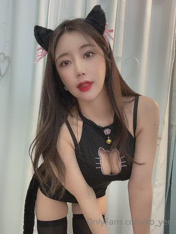 Korean Kitty