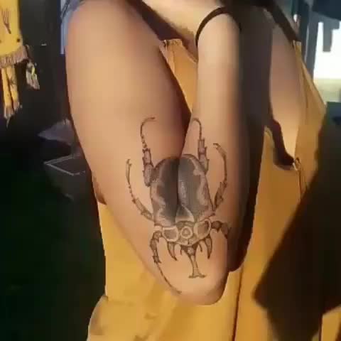  clip