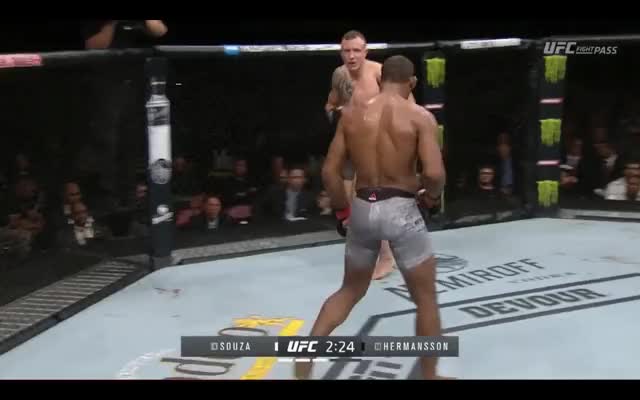 Hermansson |Jacare| Movement