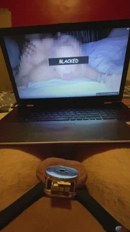 Daily routine : slapping my inferior witeballs with a BBC dildo , watching censored