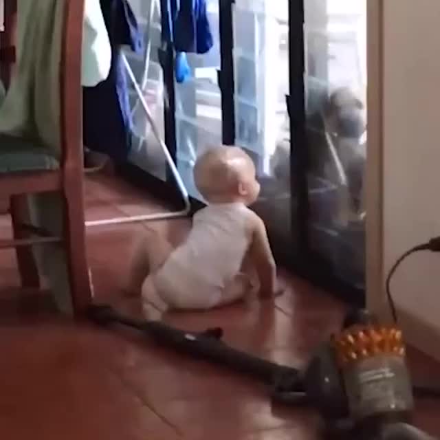Baby opens window for the dog
