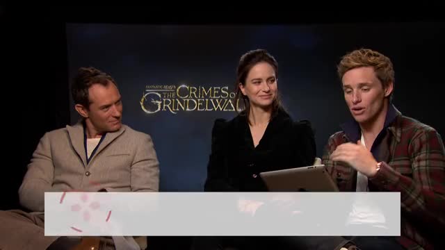 "...Okay." - Fantastic Beasts Cast Respond to IGN Comments
