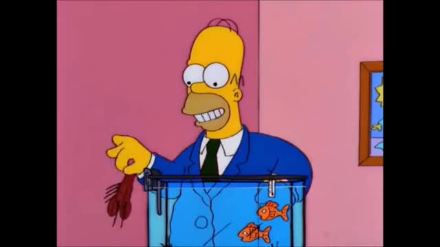 Homer Buys A Pet Lobster - The Simpsons