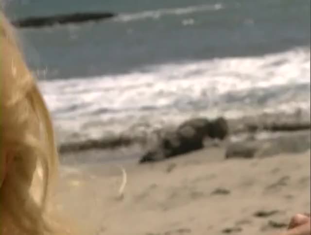 Jenna Jameson Pornstar clip