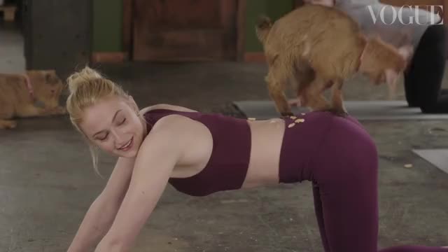 Sophie Turner tries Goat Yoga 6