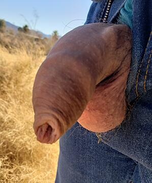 Happy Foreskin Friday!