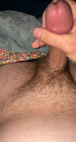 What do you think of my load?