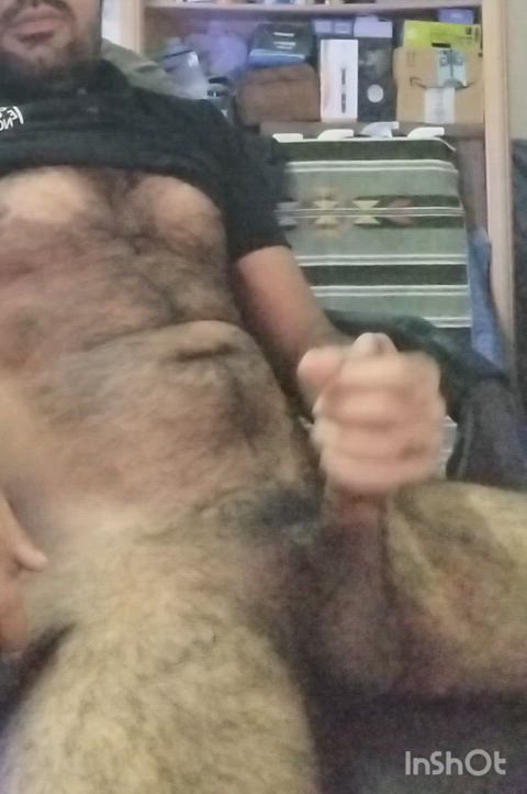  Hairy cock and balls 