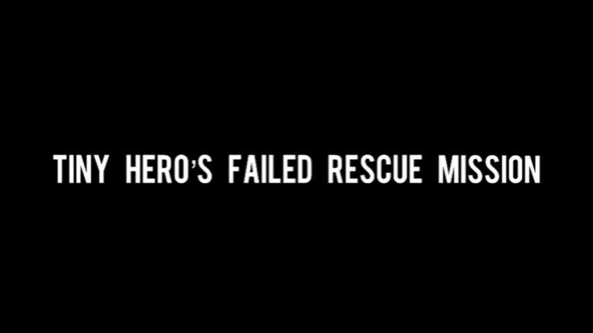 Tiny Heros Failed Rescue Mission