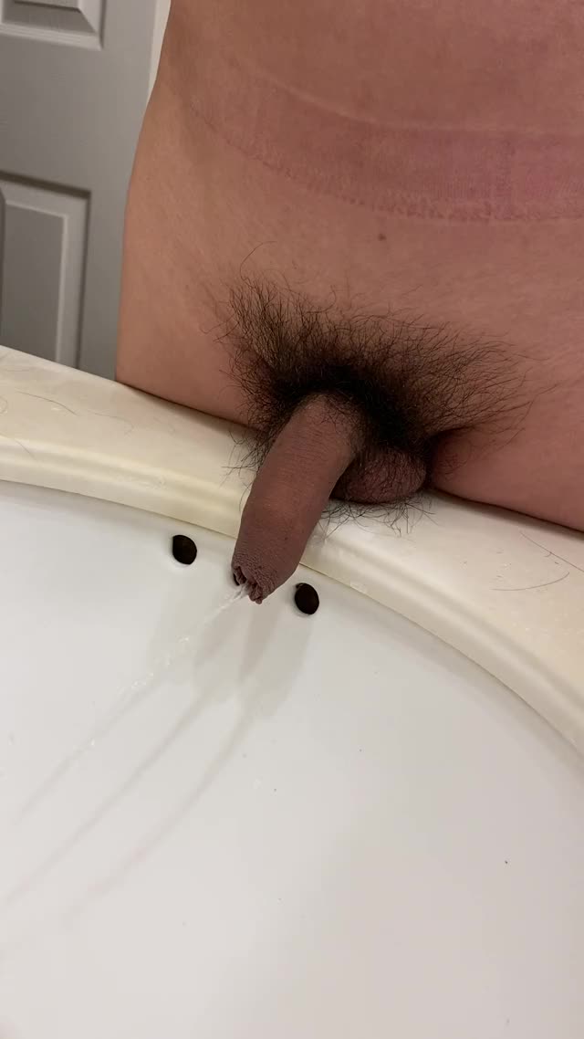 Hairy Cock Sink Piss