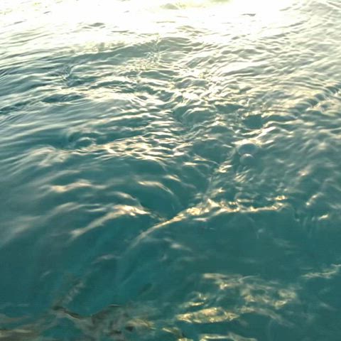 Naked and Jerking Off in the water at a public beach