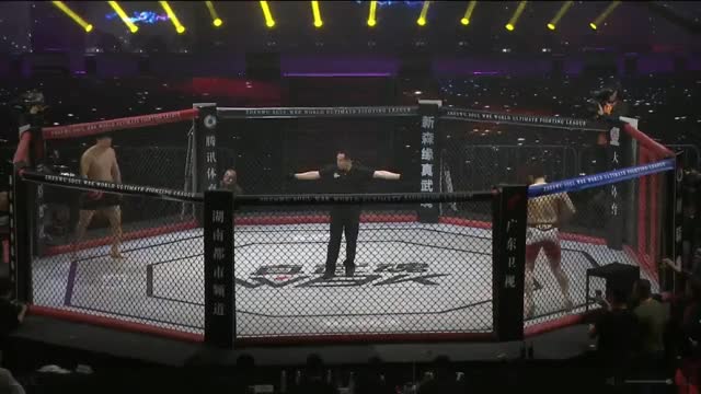 Ibragim gets a KO and then injures himself backflipping
