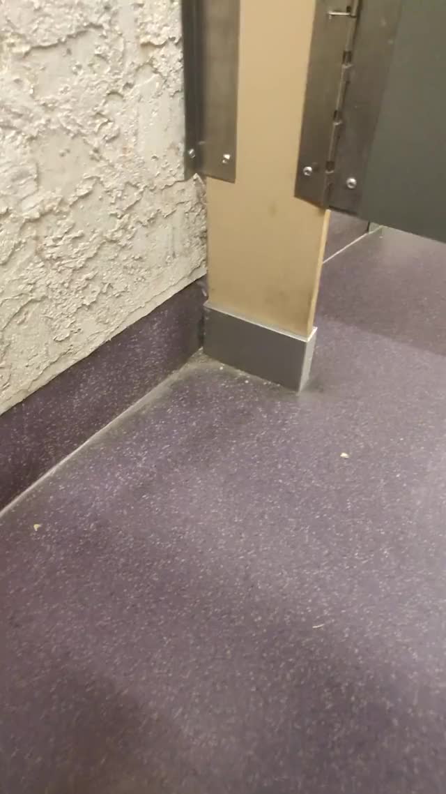 Nutting on Bathroom stall wall