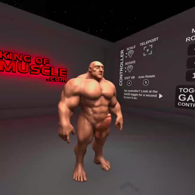 Muscle VR - King of Muscle Virtual Reality Model. KingOfMuscle.com
