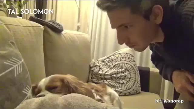 Snoring dog https://youtu.be/blBFEt_mFZ4