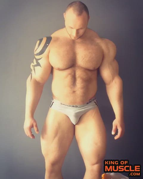 Russian muscle bull