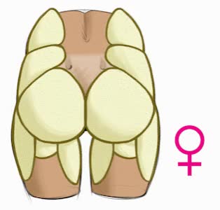 butt-muscles-butterfly-shape-female-2