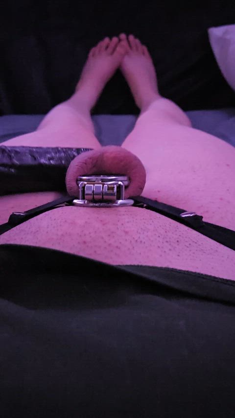 bbc chastity chastity belt femboy sissy microchastity clip