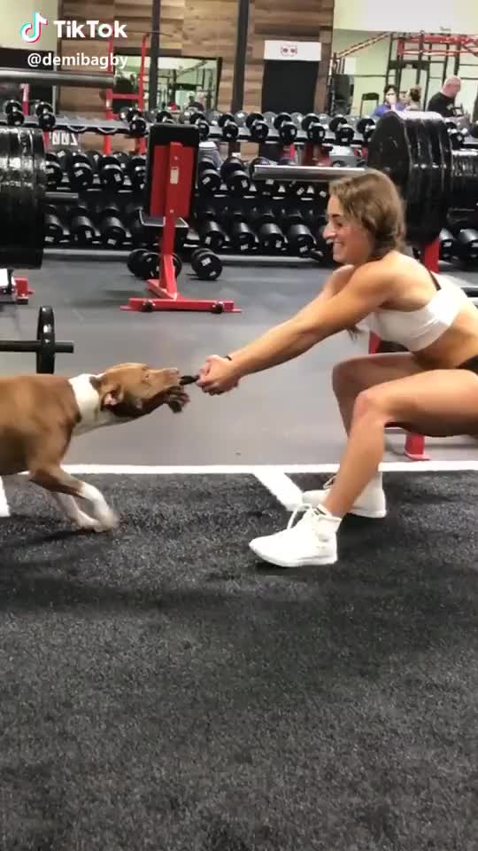 Tug of war workout with the pup ❤️??  #fitness #fun