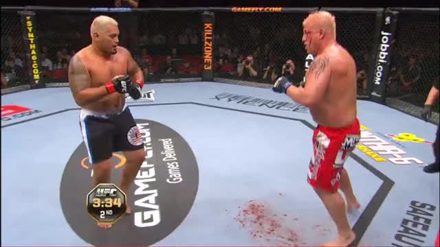 Mark Hunt Shoryuken