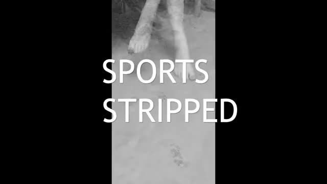 Sports Stripped 2016 BTS trim