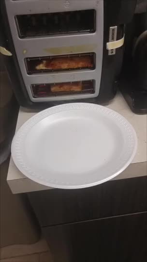 pizza toaster