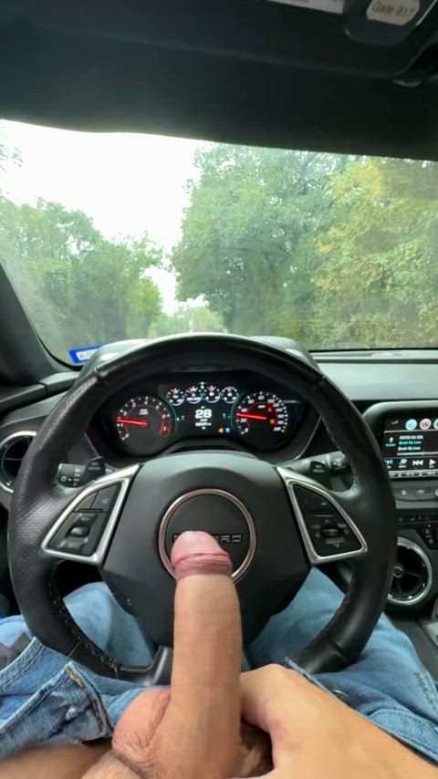 My favorite thing to do is Drive around with my Cock out looking for fun