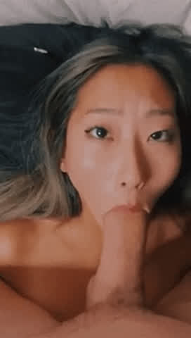 Asian Blowjob Cock Japanese Korean Small Tits Vietnamese Porn GIF