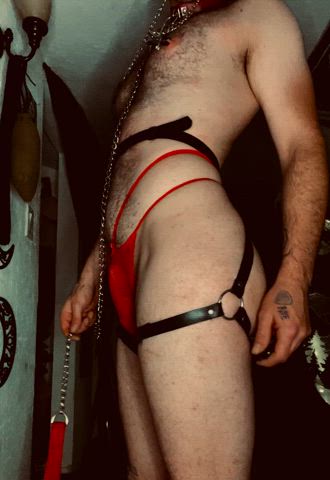 Come hold my leash please