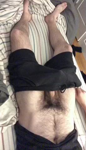 balls hairy hairy cock clip