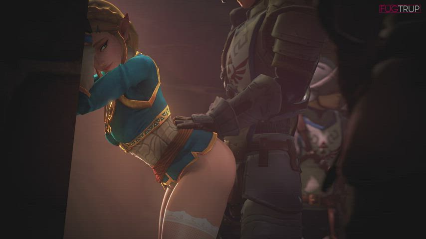 Zelda pressed against wall and anally fucked (Fugtrap)
