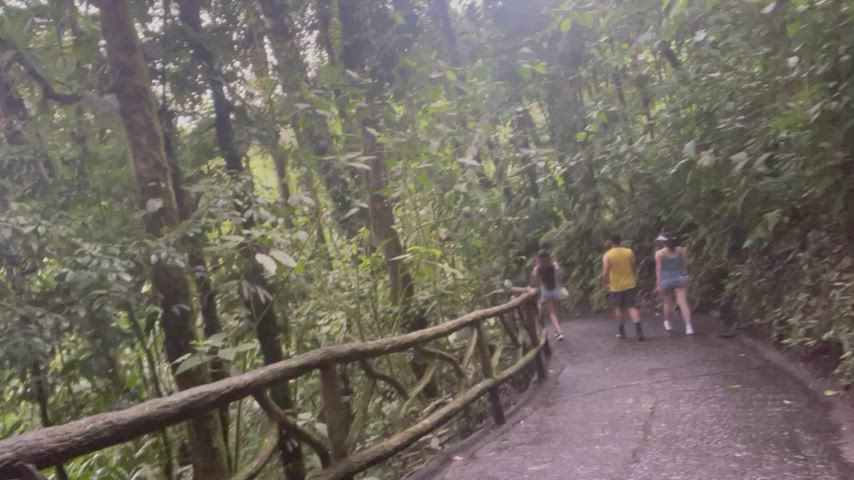 Nature flash in Costa Rica 🇨🇷