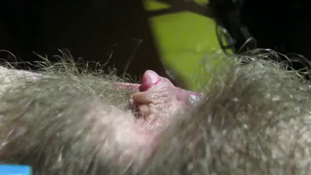 Hairy Pussy Being Fingered from the Rear